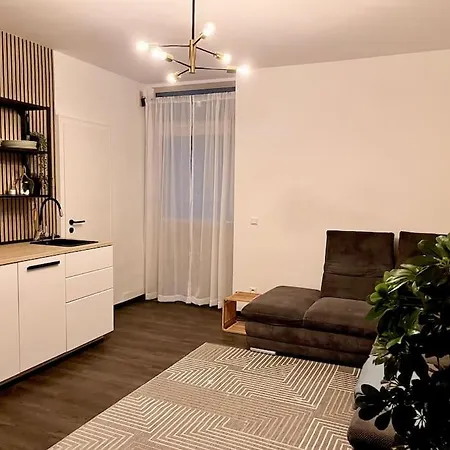 아파트 Zentrale Stadtwohnung, Bahnhofsnaehe, Og-krankenhaus, Og-messe, Europapark