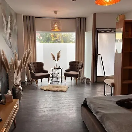 Zentrale Stadtwohnung, Bahnhofsnaehe, Og-krankenhaus, Og-messe, Europapark