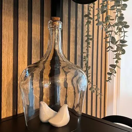 아파트 Zentrale Stadtwohnung, Bahnhofsnaehe, Og-krankenhaus, Og-messe, Europapark *