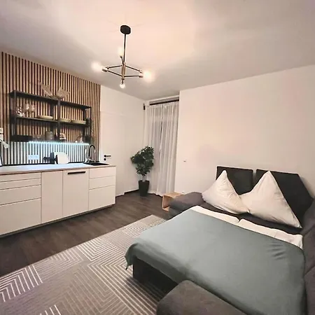 Zentrale Stadtwohnung, Bahnhofsnaehe, Og-krankenhaus, Og-messe, Europapark *