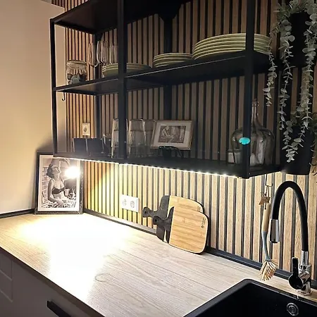 Zentrale Stadtwohnung, Bahnhofsnaehe, Og-krankenhaus, Og-messe, Europapark شقة